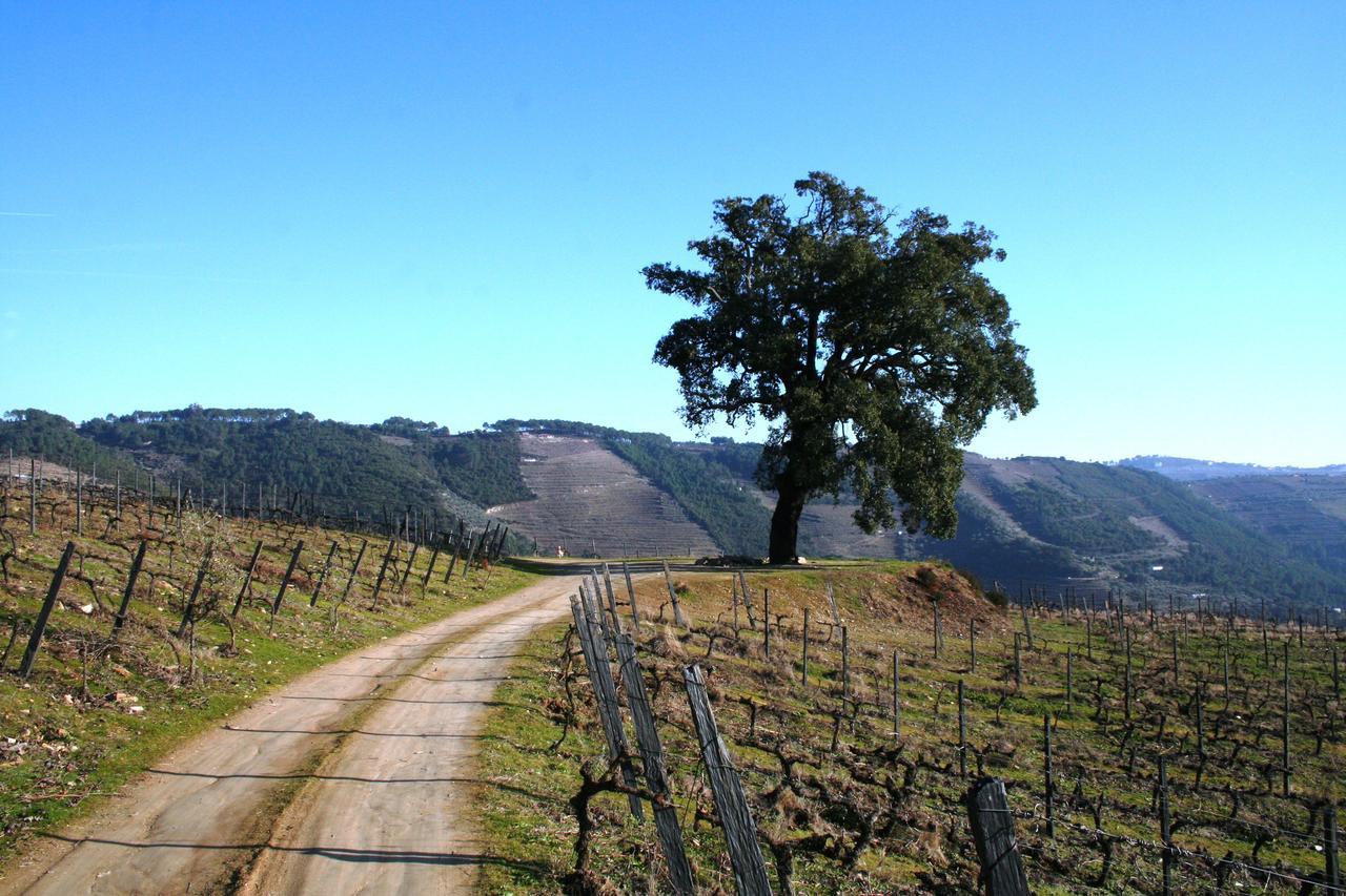 Willa Quinta Da Cumieira Cumieira  Zewnętrze zdjęcie